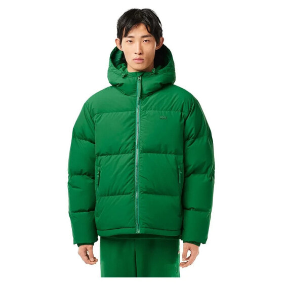 LACOSTE BH3522 padded jacket