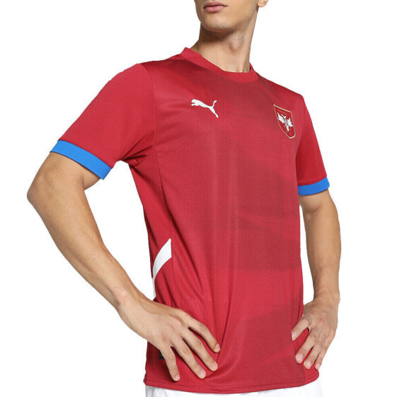 Puma Fss Crew Neck Short Sleeve Home Soccer Jersey Replica Mens Red 77430001