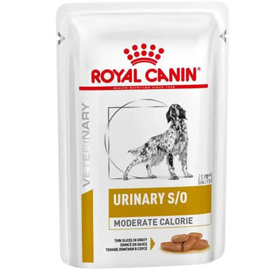 ROYAL Vet Urinary S/O Moderate Calorie Box 100g Dog Snack 12 Units