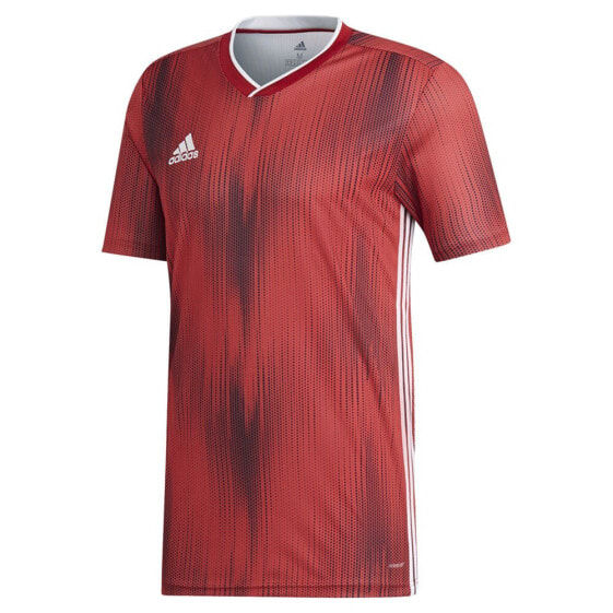 ADIDAS Tiro 19 Power short sleeve T-shirt