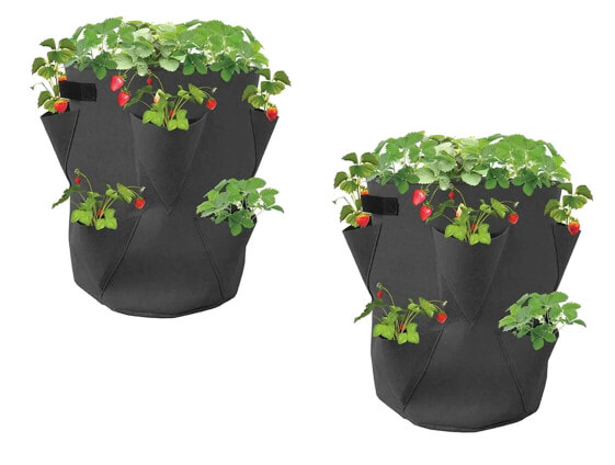 Pflanzsack Erdbeeren 2er Set