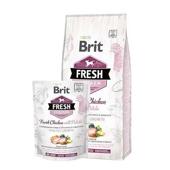 BRIT Fresh 2.5kg puppy healthy growth chicken potato