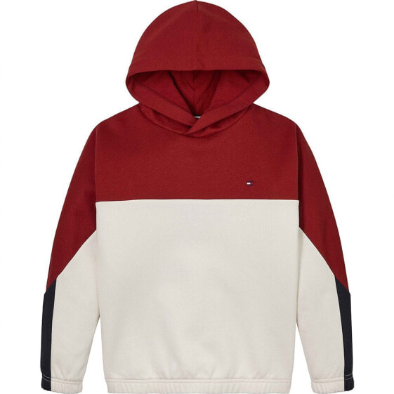 TOMMY HILFIGER Colorblock Fleece hoodie