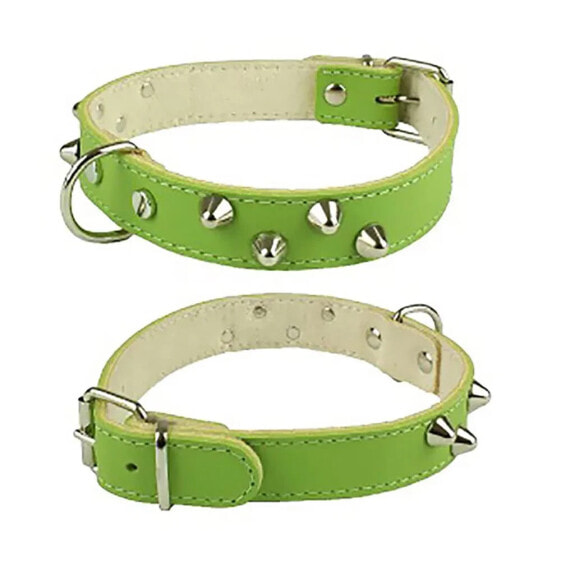 YOUPET Mountain Co2F 40x2.5 cm Dog Collar