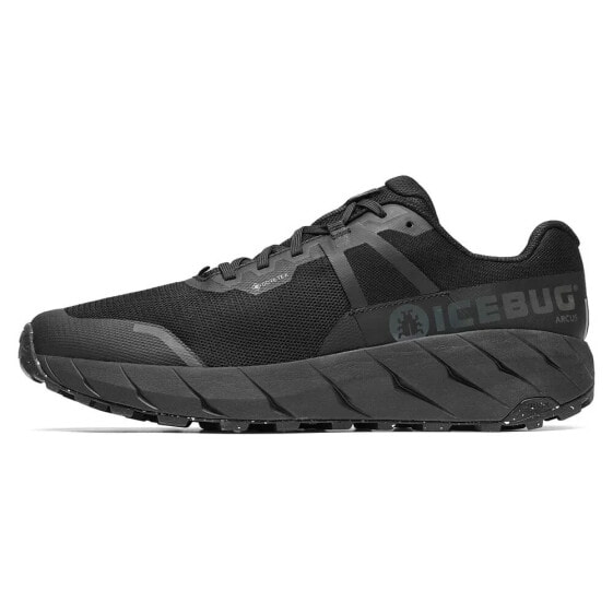 Кроссовки Icebug Arcus RB9X Goretex Trail