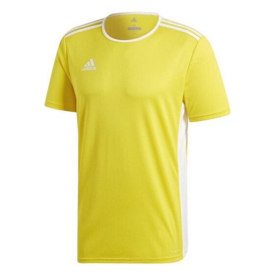 ADIDAS Entrada 18 short sleeve T-shirt