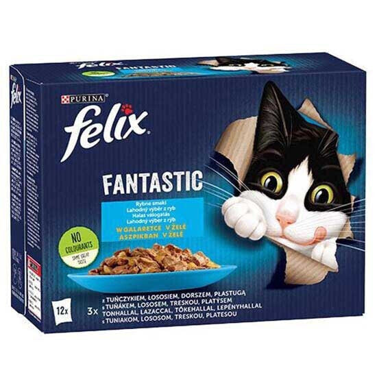 PURINA NESTLE Fantastic Fish Flavors In Jelly 85g Wet Cat Food 4 Units