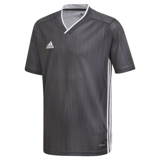 ADIDAS Tiro 19 short sleeve T-shirt