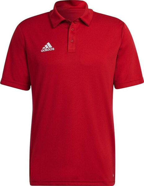 Adidas Koszulka adidas ENTRADA 22 Polo H57489 H57489 czerwony XL