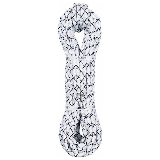 BEAL Segment 11 mm Rope