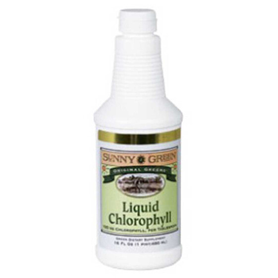 SOLARAY Chlorophyll 480ml