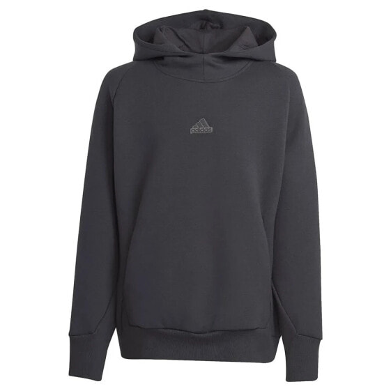 ADIDAS Z.N.E hoodie