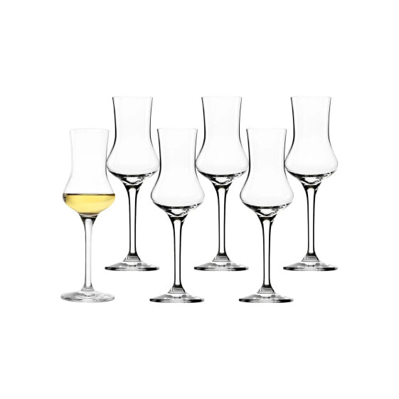 Destillatgläser Grappa 6er Set