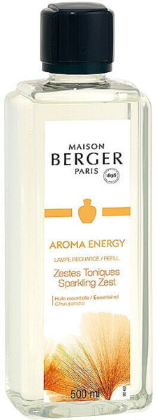 Maison Berger Aroma Energy