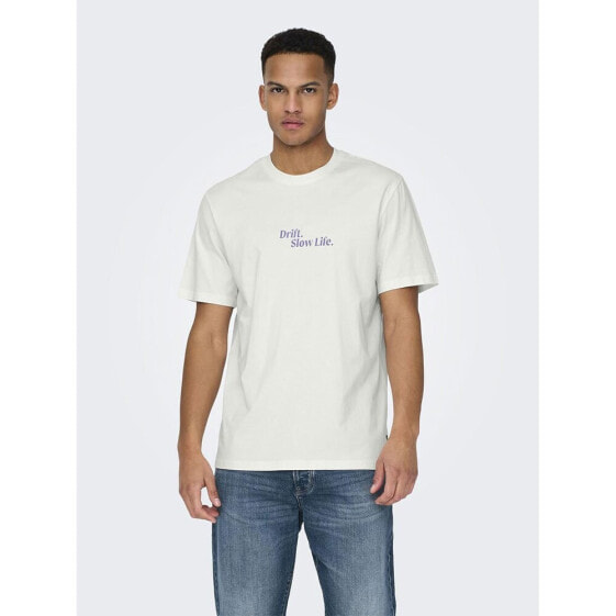 ONLY & SONS Kye Reg Photo short sleeve T-shirt