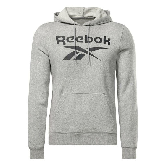 Толстовка с капюшоном мужская Reebok FT BIG LOGO OTH HZ8786 Серый