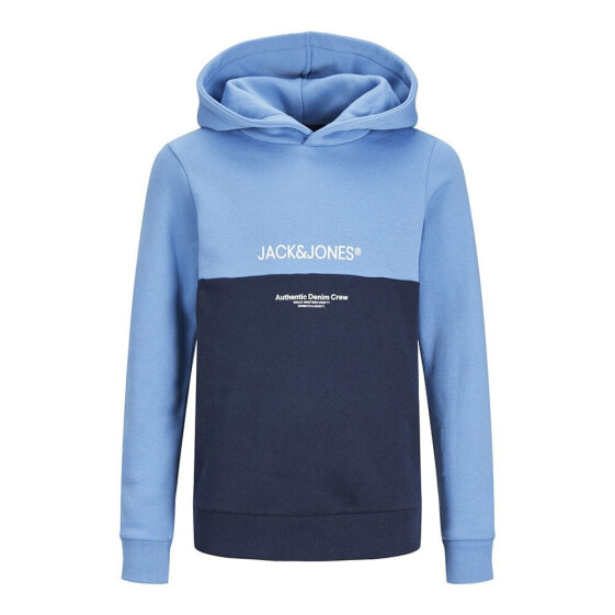 JACK & JONES Ryder Blocking hoodie