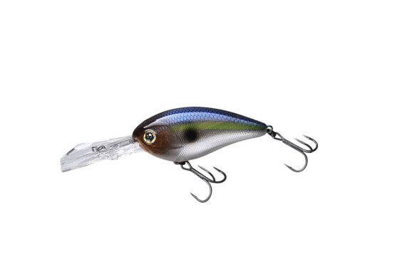 Jackall DIGLE Crankbaits (JDIG5-SGTH) Fishing