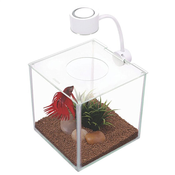 MARINA Betta Cubus 3.4L aquarium kit