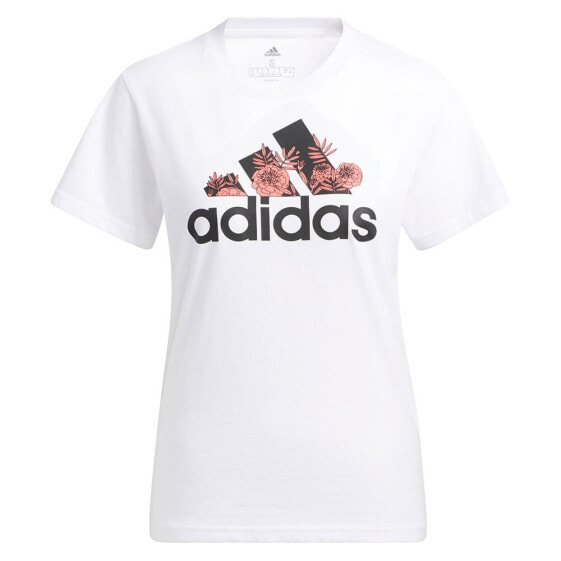 ADIDAS IWD Graphic short sleeve T-shirt