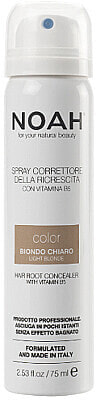 Haaransatz-Concealerspray hellblond