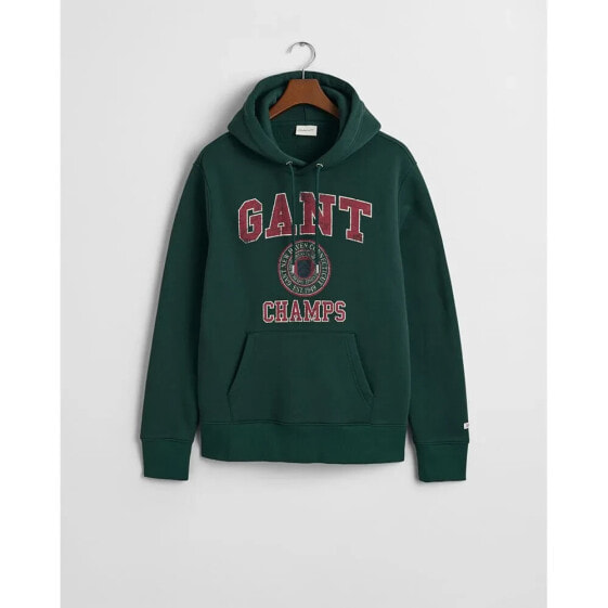 GANT Front Graphic hoodie