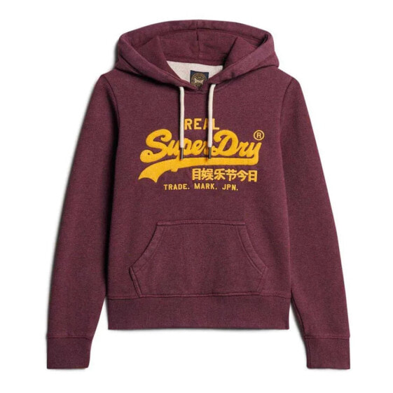 SUPERDRY Chenille Vl Graphic hoodie