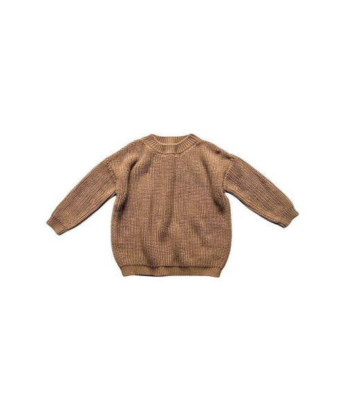 Toddler Boy and Toddler Girl Organic Cotton Chunky Sweater