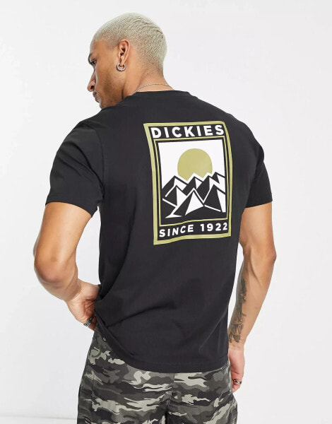 Футболка Dickies Pacific Schwarz