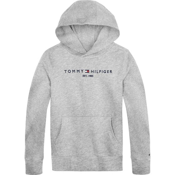 TOMMY HILFIGER KIDS Essential hoodie