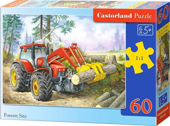 Castorland Puzzle Wycinka w Lesie 60 elementów (06601)