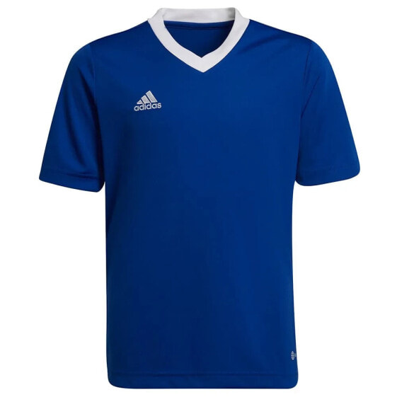 ADIDAS Entrada 22 short sleeve T-shirt