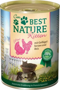  Cats Best Nature