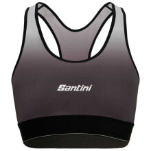  Santini