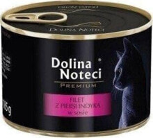  Dolina Noteci