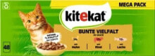  Kitekat