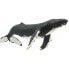 SAFARI LTD Humpback Whale Figure