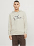 Худи Jack & Jones JJZURI Moonbeam