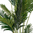 Dekopalme Areca