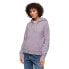 SUPERDRY Metallic Venue Logo hoodie