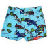 SPEEDO Imp Derby Allover Swim Boxers