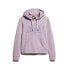 SUPERDRY Metallic Vl Graphic Unbrushed hoodie