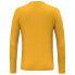 SALEWA Solidlogo Dryton long sleeve T-shirt