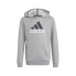 Adidas Big Logo 2 Hoody JR