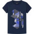 HACKETT Graphic short sleeve T-shirt