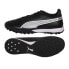 Puma King Match TT