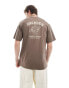 Dickies colstrip back print t-shirt in brown