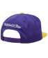 Men's Purple, Gold Los Angeles Lakers Hardwood Classics 1987/88 Back-to-Back NBA Champions Snapback Hat