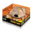 EXO TERRA Gecko Cave medium terrestrial hide