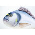 GABY The Gilthead Sea Bream Medium